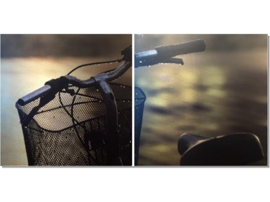 Cuadro Diptico Bicicleta 75x75 1