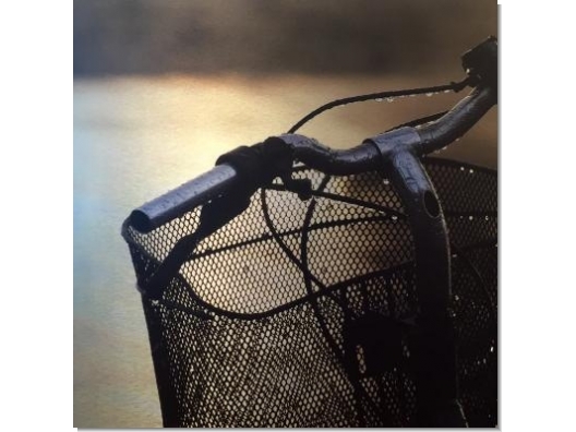 Cuadro Diptico Bicicleta 75x75 2