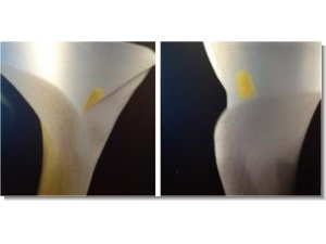 Cuadro Diptico Calas 75x75