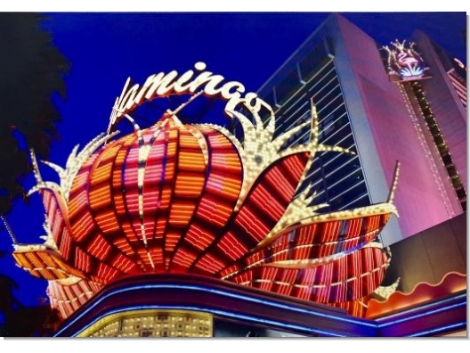 Cuadro Flamingo 70x100 1