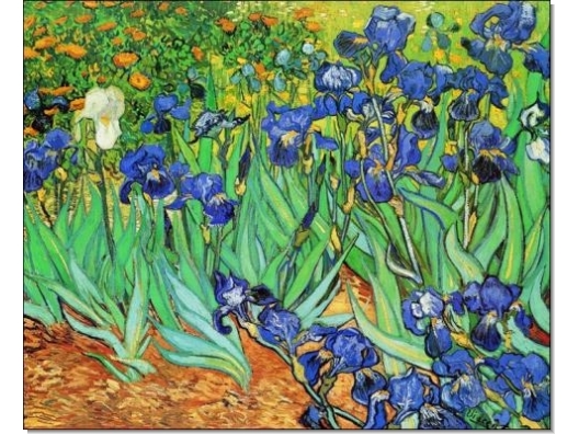 Van Gogh : Lirios  1