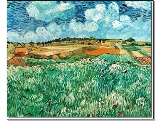 Van Gogh : Llanura cerca de Auvers 1
