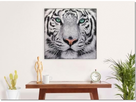 Cuadro Tigre Blanco  95x95 1
