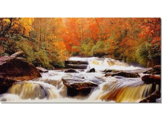 Cuadro Río Otoñal 140x70 1